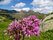 Grande anello dei Laghi della conca del Calvi-26lu23 - FOTOGALLERY